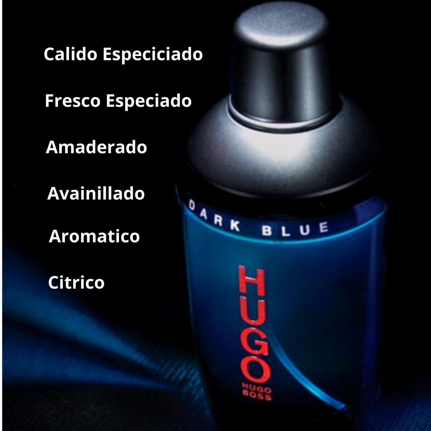 Hugo Dark Blue Hugo Boss