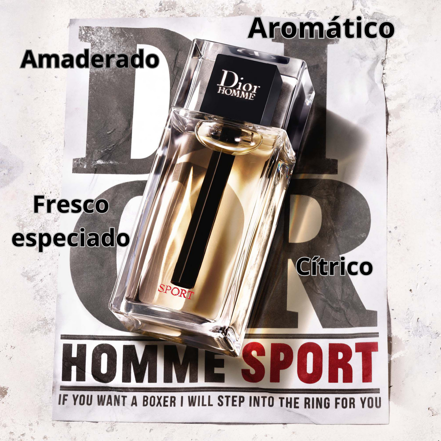 Homme Sport (2017)